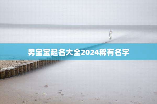 男宝宝起名大全2024稀有名字