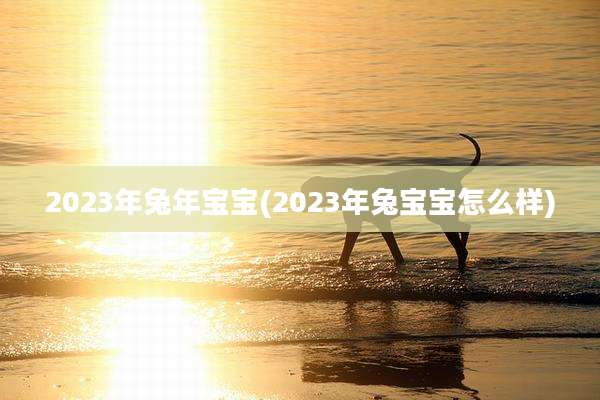 2023年兔年宝宝(2023年兔宝宝怎么样)
