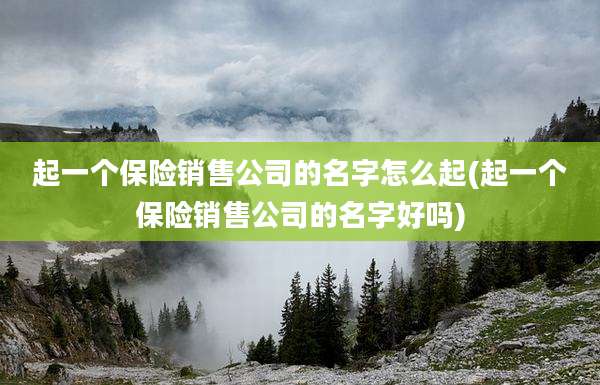 起一个保险销售公司的名字怎么起(起一个保险销售公司的名字好吗)