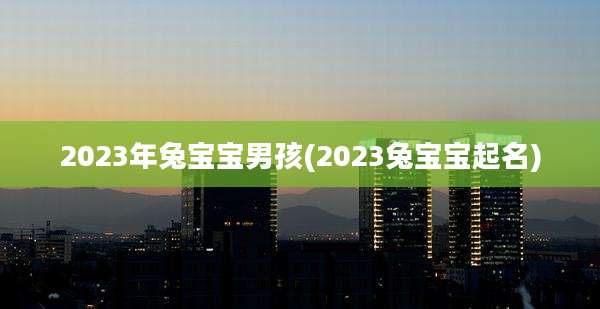 2023年兔宝宝男孩(2023兔宝宝起名)