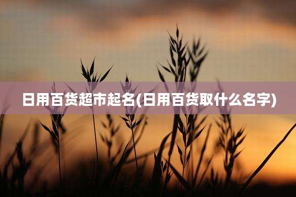 日用百货超市起名(日用百货取什么名字)