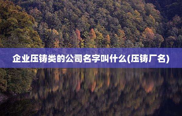 企业压铸类的公司名字叫什么(压铸厂名)
