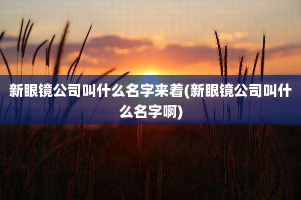 新眼镜公司叫什么名字来着(新眼镜公司叫什么名字啊)