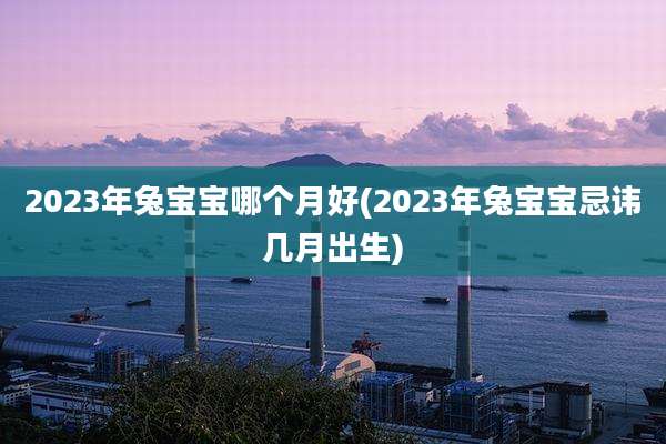 2023年兔宝宝哪个月好(2023年兔宝宝忌讳几月出生)