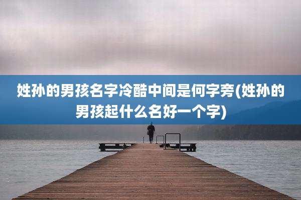 姓孙的男孩名字冷酷中间是何字旁(姓孙的男孩起什么名好一个字)