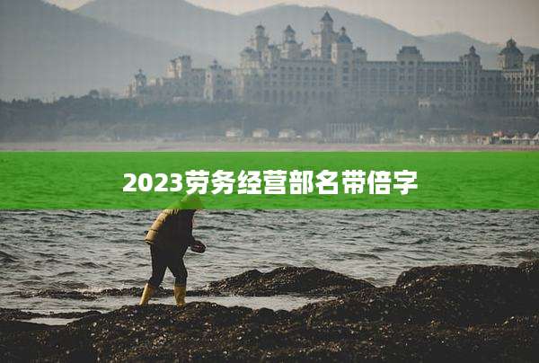 2023劳务经营部名带倍字