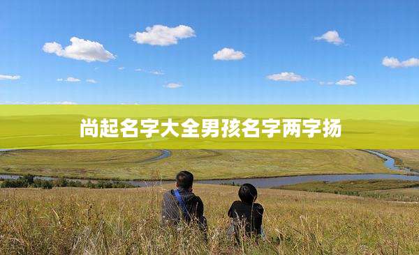 尚起名字大全男孩名字两字扬