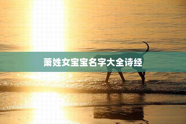 萧姓女宝宝名字大全诗经