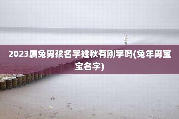 2023属兔男孩名字姓秋有刚字吗(兔年男宝宝名字)