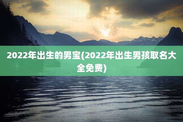 2022年出生的男宝(2022年出生男孩取名大全免费)