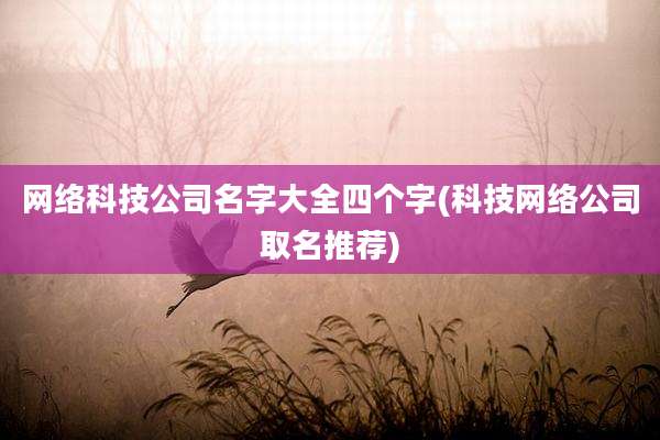 网络科技公司名字大全四个字(科技网络公司取名推荐)