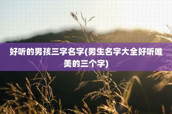 好听的男孩三字名字(男生名字大全好听唯美的三个字)