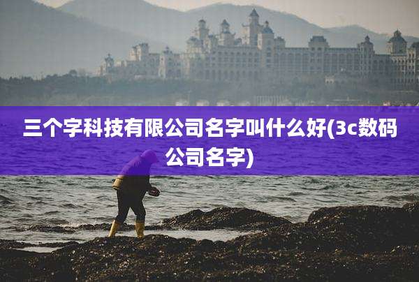 三个字科技有限公司名字叫什么好(3c数码公司名字)