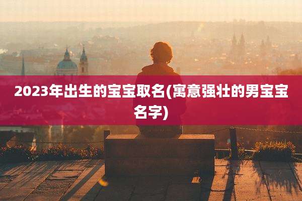 2023年出生的宝宝取名(寓意强壮的男宝宝名字)