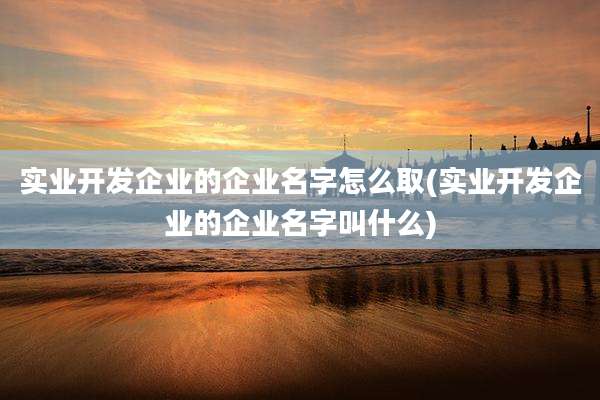 实业开发企业的企业名字怎么取(实业开发企业的企业名字叫什么)