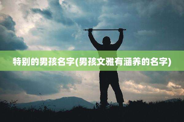 特别的男孩名字(男孩文雅有涵养的名字)