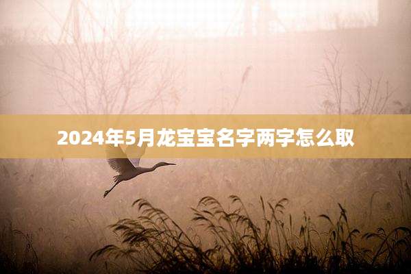2024年5月龙宝宝名字两字怎么取