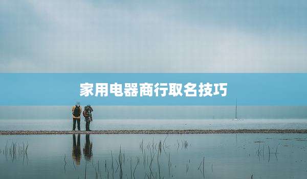 家用电器商行取名技巧