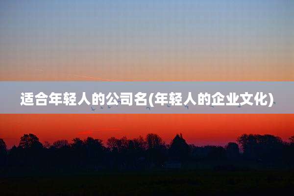 适合年轻人的公司名(年轻人的企业文化)