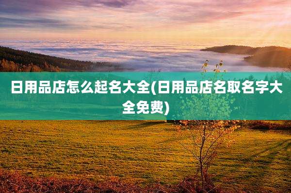 日用品店怎么起名大全(日用品店名取名字大全免费)