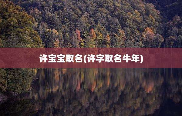 许宝宝取名(许字取名牛年)
