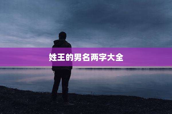 姓王的男名两字大全