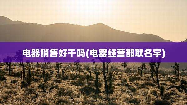 电器销售好干吗(电器经营部取名字)