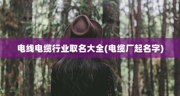 电线电缆行业取名大全(电缆厂起名字)