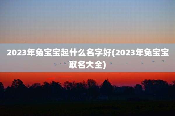 2023年兔宝宝起什么名字好(2023年兔宝宝取名大全)