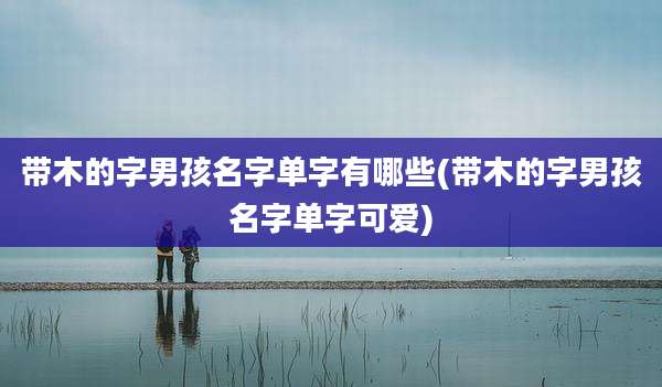 带木的字男孩名字单字有哪些(带木的字男孩名字单字可爱)