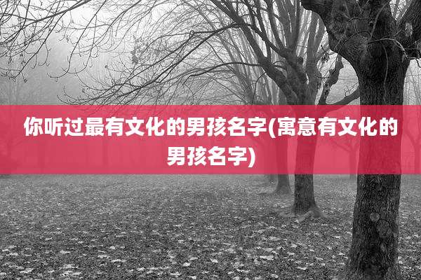你听过最有文化的男孩名字(寓意有文化的男孩名字)