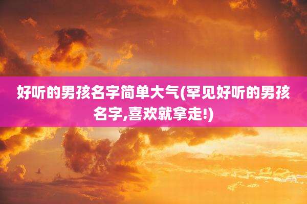 好听的男孩名字简单大气(罕见好听的男孩名字,喜欢就拿走!)