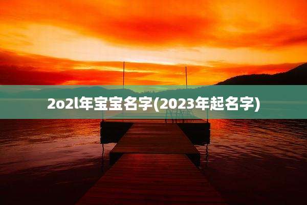 2o2l年宝宝名字(2023年起名字)