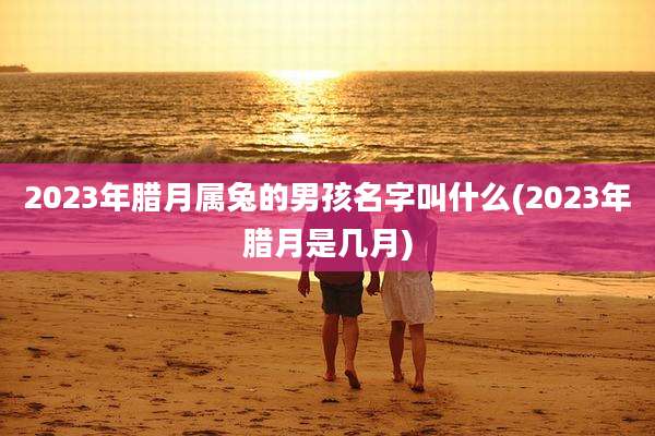 2023年腊月属兔的男孩名字叫什么(2023年腊月是几月)