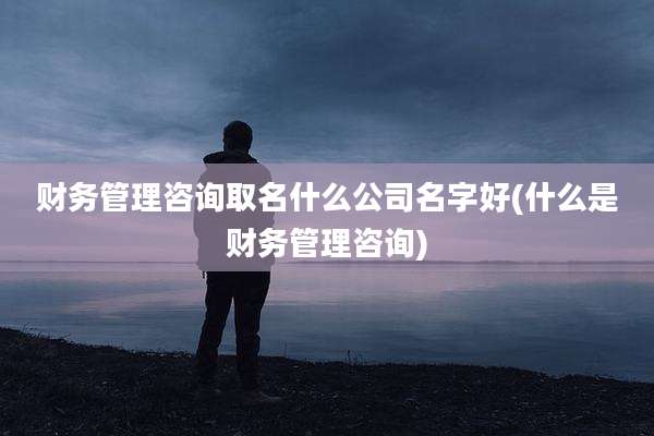 财务管理咨询取名什么公司名字好(什么是财务管理咨询)