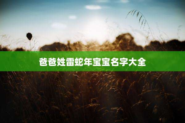 爸爸姓雷蛇年宝宝名字大全