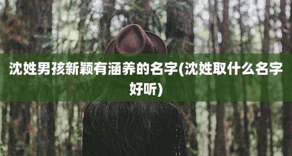 沈姓男孩新颖有涵养的名字(沈姓取什么名字好听)