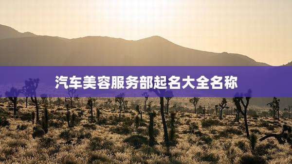 汽车美容服务部起名大全名称