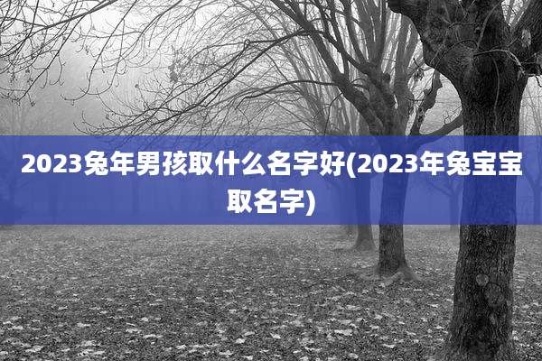2023兔年男孩取什么名字好(2023年兔宝宝取名字)