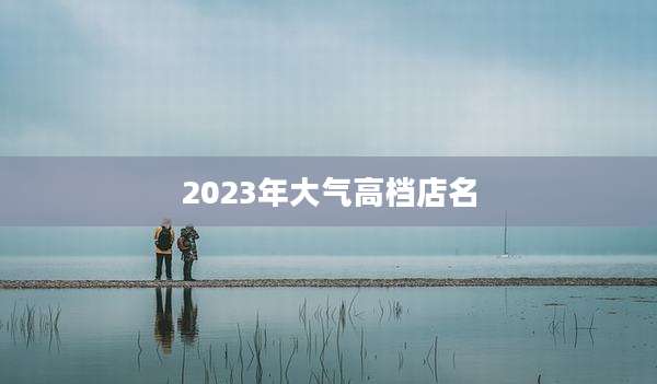 2023年大气高档店名