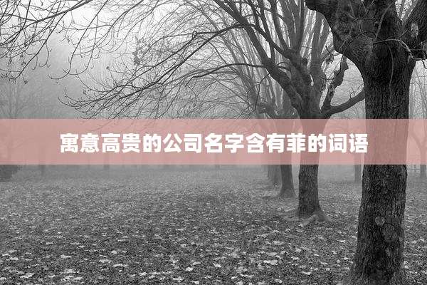 寓意高贵的公司名字含有菲的词语