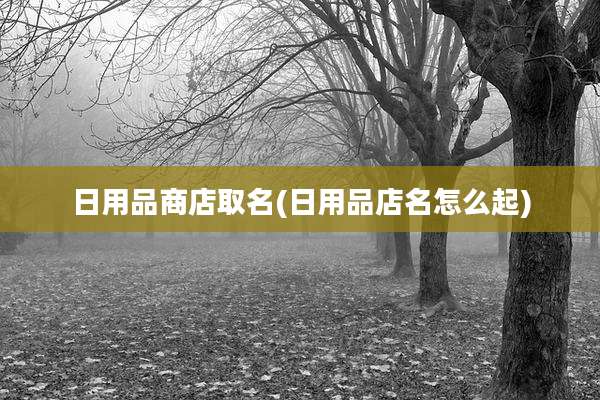 日用品商店取名(日用品店名怎么起)