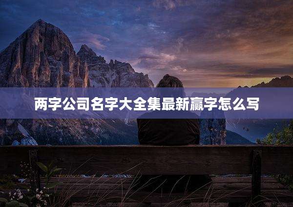 两字公司名字大全集最新赢字怎么写