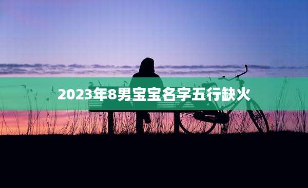 2023年8男宝宝名字五行缺火