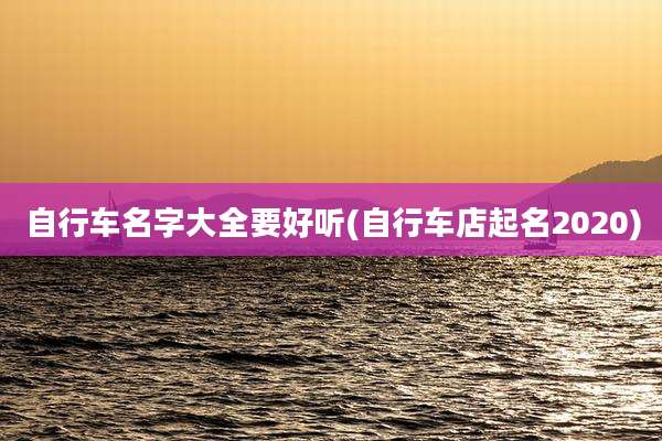 自行车名字大全要好听(自行车店起名2020)