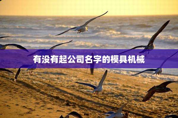 有没有起公司名字的模具机械