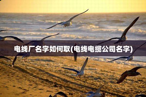 电线厂名字如何取(电线电缆公司名字)
