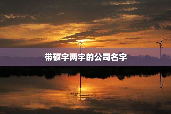 带硕字两字的公司名字
