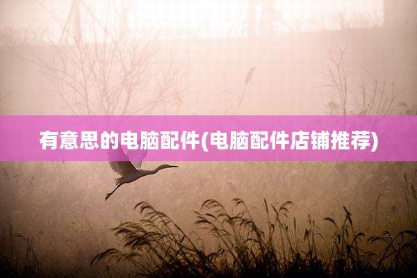 有意思的电脑配件(电脑配件店铺推荐)