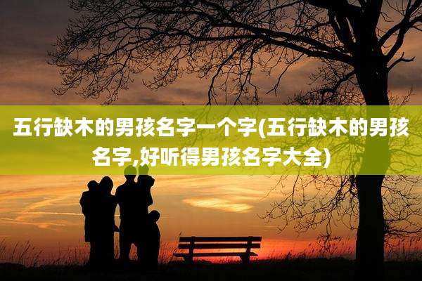 五行缺木的男孩名字一个字(五行缺木的男孩名字,好听得男孩名字大全)